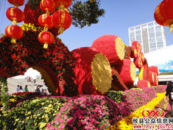 八面来风 深圳园博园——国家重点公园中的花卉艺术殿堂